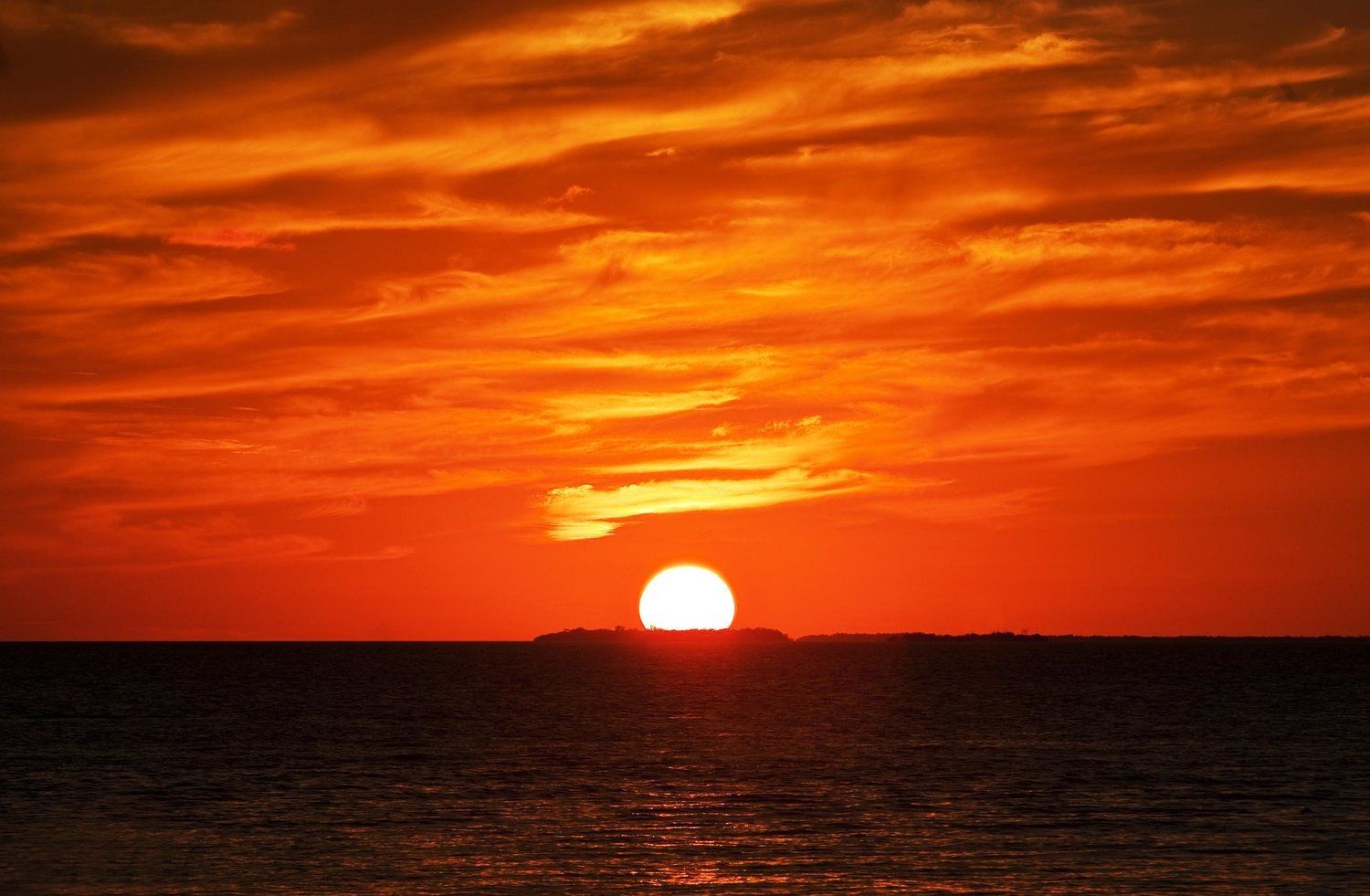 Sunset Key Cottages Key West Fasiliteter bilde